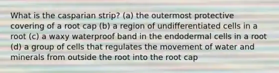 What is the casparian strip? (a) the outermost protective covering of a root cap (b) a region of undifferentiated cells in a root (c) a waxy waterproof band in the endodermal cells in a root (d) a group of cells that regulates the movement of water and minerals from outside the root into the root cap