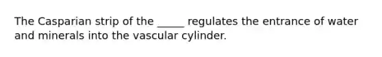 The Casparian strip of the _____ regulates the entrance of water and minerals into the vascular cylinder.