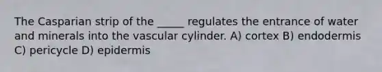 The Casparian strip of the _____ regulates the entrance of water and minerals into the vascular cylinder. A) cortex B) endodermis C) pericycle D) epidermis