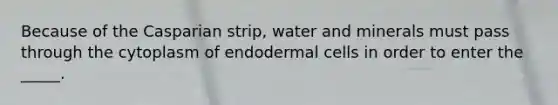 Because of the Casparian strip, water and minerals must pass through the cytoplasm of endodermal cells in order to enter the _____.