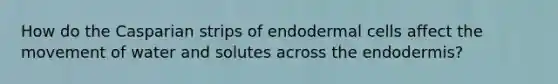 How do the Casparian strips of endodermal cells affect the movement of water and solutes across the endodermis?