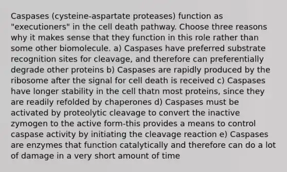 Caspases (cysteine-aspartate proteases) function as "executioners" in the cell death pathway. Choose three reasons why it makes sense that they function in this role rather than some other biomolecule. a) Caspases have preferred substrate recognition sites for cleavage, and therefore can preferentially degrade other proteins b) Caspases are rapidly produced by the ribosome after the signal for cell death is received c) Caspases have longer stability in the cell thatn most proteins, since they are readily refolded by chaperones d) Caspases must be activated by proteolytic cleavage to convert the inactive zymogen to the active form-this provides a means to control caspase activity by initiating the cleavage reaction e) Caspases are enzymes that function catalytically and therefore can do a lot of damage in a very short amount of time