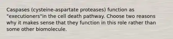 Caspases (cysteine-aspartate proteases) function as "executioners"in the cell death pathway. Choose two reasons why it makes sense that they function in this role rather than some other biomolecule.