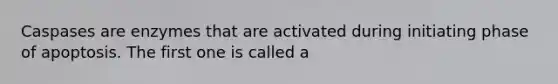 Caspases are enzymes that are activated during initiating phase of apoptosis. The first one is called a