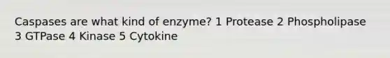 Caspases are what kind of enzyme? 1 Protease 2 Phospholipase 3 GTPase 4 Kinase 5 Cytokine