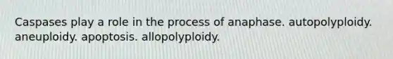 Caspases play a role in the process of anaphase. autopolyploidy. aneuploidy. apoptosis. allopolyploidy.