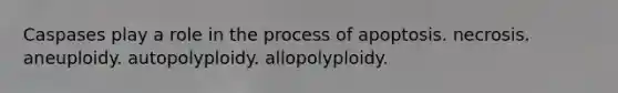 Caspases play a role in the process of apoptosis. necrosis. aneuploidy. autopolyploidy. allopolyploidy.