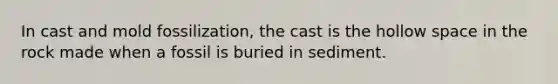 In cast and mold fossilization, the cast is the hollow space in the rock made when a fossil is buried in sediment.