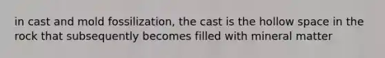 in cast and mold fossilization, the cast is the hollow space in the rock that subsequently becomes filled with mineral matter