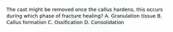 The cast might be removed once the callus hardens, this occurs during which phase of fracture healing? A. Granulation tissue B. Callus formation C. Ossification D. Consolidation