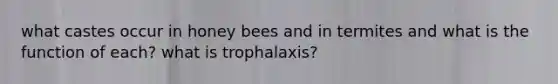 what castes occur in honey bees and in termites and what is the function of each? what is trophalaxis?