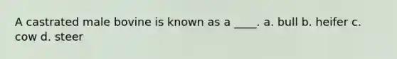 A castrated male bovine is known as a ____. a. bull b. heifer c. cow d. steer