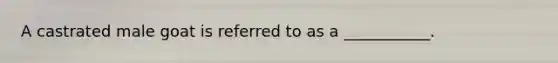 A castrated male goat is referred to as a ___________.