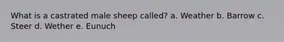 What is a castrated male sheep called? a. Weather b. Barrow c. Steer d. Wether e. Eunuch