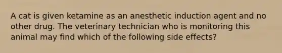 A cat is given ketamine as an anesthetic induction agent and no other drug. The veterinary technician who is monitoring this animal may find which of the following side effects?