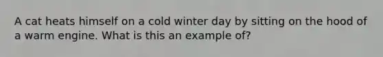 A cat heats himself on a cold winter day by sitting on the hood of a warm engine. What is this an example of?