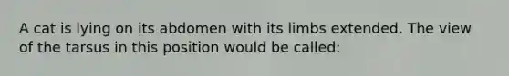 A cat is lying on its abdomen with its limbs extended. The view of the tarsus in this position would be called: