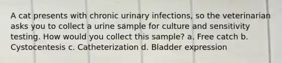 A cat presents with chronic urinary infections, so the veterinarian asks you to collect a urine sample for culture and sensitivity testing. How would you collect this sample? a. Free catch b. Cystocentesis c. Catheterization d. Bladder expression