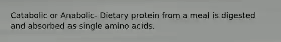 Catabolic or Anabolic- Dietary protein from a meal is digested and absorbed as single amino acids.