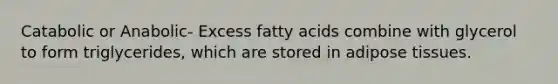 Catabolic or Anabolic- Excess fatty acids combine with glycerol to form triglycerides, which are stored in adipose tissues.