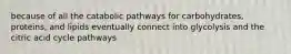 because of all the catabolic pathways for carbohydrates, proteins, and lipids eventually connect into glycolysis and the citric acid cycle pathways