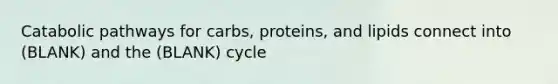 Catabolic pathways for carbs, proteins, and lipids connect into (BLANK) and the (BLANK) cycle