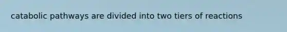 catabolic pathways are divided into two tiers of reactions