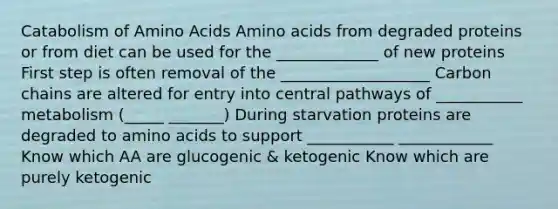 Catabolism of <a href='https://www.questionai.com/knowledge/k9gb720LCl-amino-acids' class='anchor-knowledge'>amino acids</a> Amino acids from degraded proteins or from diet can be used for the _____________ of new proteins First step is often removal of the ___________________ Carbon chains are altered for entry into central pathways of ___________ metabolism (_____ _______) During starvation proteins are degraded to amino acids to support ___________ ____________ Know which AA are glucogenic & ketogenic Know which are purely ketogenic