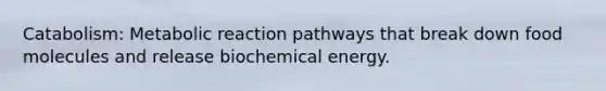 Catabolism: Metabolic reaction pathways that break down food molecules and release biochemical energy.