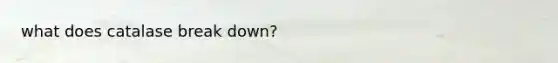 what does catalase break down?