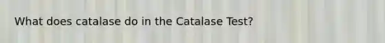 What does catalase do in the Catalase Test?