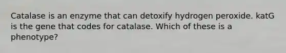 Catalase is an enzyme that can detoxify hydrogen peroxide. katG is the gene that codes for catalase. Which of these is a phenotype?