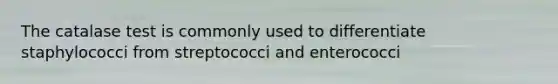 The catalase test is commonly used to differentiate staphylococci from streptococci and enterococci