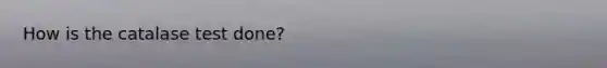 How is the catalase test done?