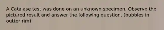 A Catalase test was done on an unknown specimen. Observe the pictured result and answer the following question. (bubbles in outter rim)