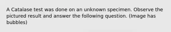 A Catalase test was done on an unknown specimen. Observe the pictured result and answer the following question. (Image has bubbles)