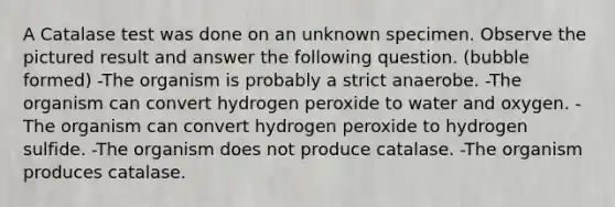 A Catalase test was done on an unknown specimen. Observe the pictured result and answer the following question. (bubble formed) -The organism is probably a strict anaerobe. -The organism can convert hydrogen peroxide to water and oxygen. -The organism can convert hydrogen peroxide to hydrogen sulfide. -The organism does not produce catalase. -The organism produces catalase.