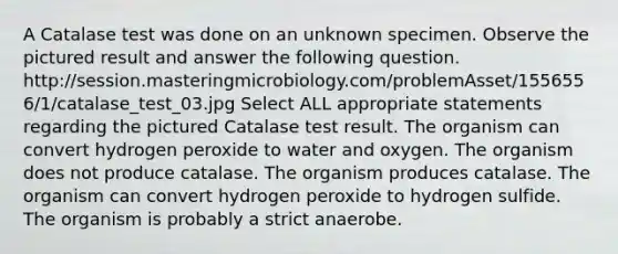 A Catalase test was done on an unknown specimen. Observe the pictured result and answer the following question. http://session.masteringmicrobiology.com/problemAsset/1556556/1/catalase_test_03.jpg Select ALL appropriate statements regarding the pictured Catalase test result. The organism can convert hydrogen peroxide to water and oxygen. The organism does not produce catalase. The organism produces catalase. The organism can convert hydrogen peroxide to hydrogen sulfide. The organism is probably a strict anaerobe.