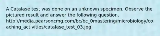 A Catalase test was done on an unknown specimen. Observe the pictured result and answer the following question. http://media.pearsoncmg.com/bc/bc_0mastering/microbiology/coaching_activities/catalase_test_03.jpg