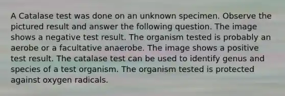 A Catalase test was done on an unknown specimen. Observe the pictured result and answer the following question. The image shows a negative test result. The organism tested is probably an aerobe or a facultative anaerobe. The image shows a positive test result. The catalase test can be used to identify genus and species of a test organism. The organism tested is protected against oxygen radicals.