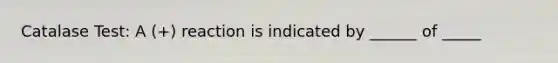 Catalase Test: A (+) reaction is indicated by ______ of _____