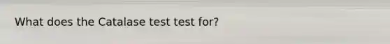 What does the Catalase test test for?