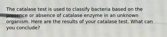 The catalase test is used to classify bacteria based on the presence or absence of catalase enzyme in an unknown organism. Here are the results of your catalase test. What can you conclude?