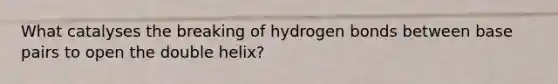 What catalyses the breaking of hydrogen bonds between base pairs to open the double helix?