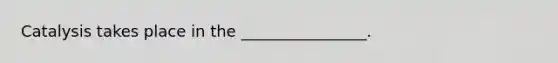 Catalysis takes place in the ________________.