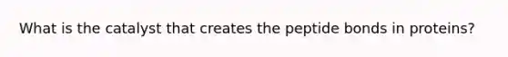 What is the catalyst that creates the peptide bonds in proteins?