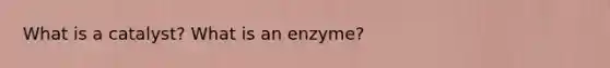 What is a catalyst? What is an enzyme?