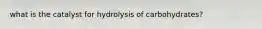 what is the catalyst for hydrolysis of carbohydrates?