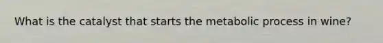What is the catalyst that starts the metabolic process in wine?