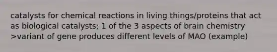 catalysts for chemical reactions in living things/proteins that act as biological catalysts; 1 of the 3 aspects of brain chemistry >variant of gene produces different levels of MAO (example)